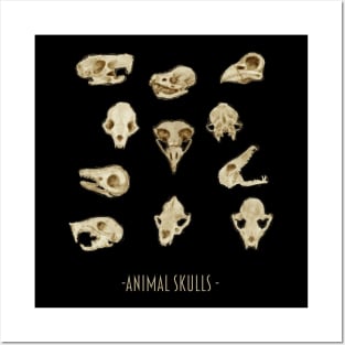 Skulls Posters and Art